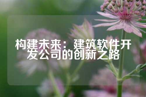 构建未来：建筑软件开发公司的创新之路