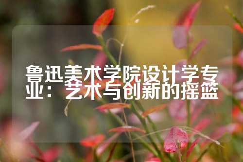 鲁迅美术学院设计学专业：艺术与创新的摇篮