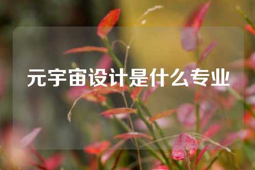元宇宙设计是什么专业
