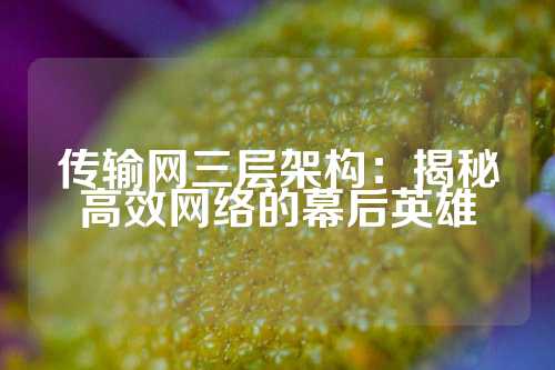 传输网三层架构：揭秘高效网络的幕后英雄