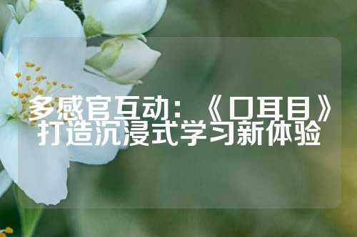 多感官互动：《口耳目》打造沉浸式学习新体验