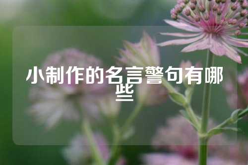 小制作的名言警句有哪些