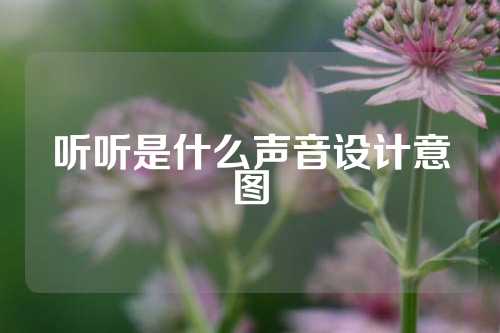 听听是什么声音设计意图