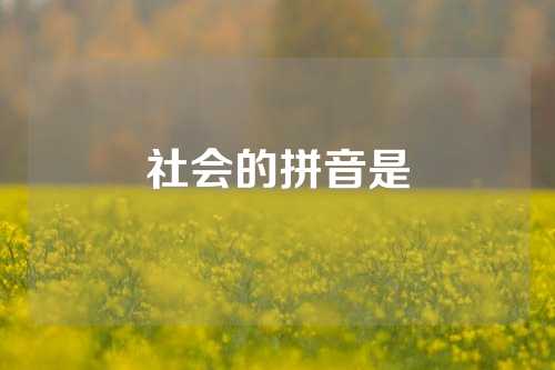 社会的拼音是