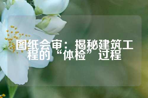 图纸会审：揭秘建筑工程的“体检”过程