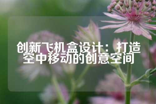 创新飞机盒设计：打造空中移动的创意空间