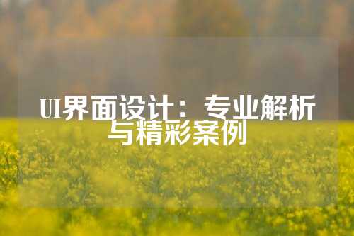 UI界面设计：专业解析与精彩案例