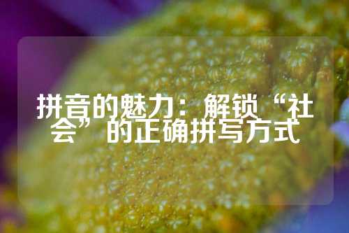 拼音的魅力：解锁“社会”的正确拼写方式