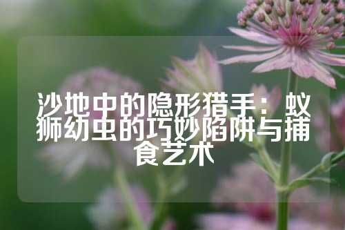 沙地中的隐形猎手：蚁狮幼虫的巧妙陷阱与捕食艺术