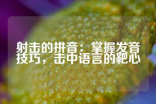 射击的拼音：掌握发音技巧，击中语言的靶心