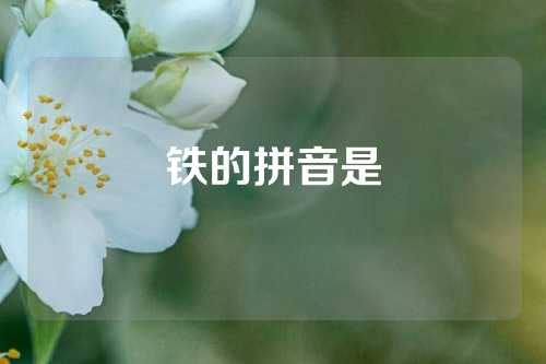铁的拼音是