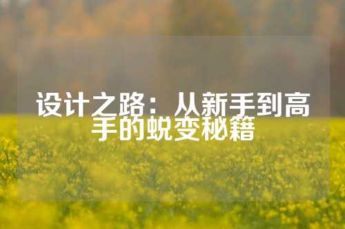 设计之路：从新手到高手的蜕变秘籍