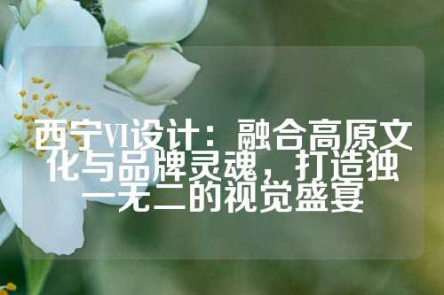 西宁VI设计：融合高原文化与品牌灵魂，打造独一无二的视觉盛宴