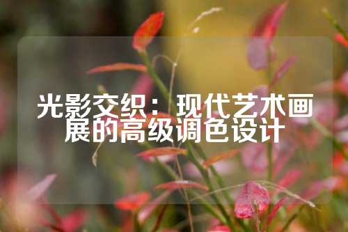 光影交织：现代艺术画展的高级调色设计