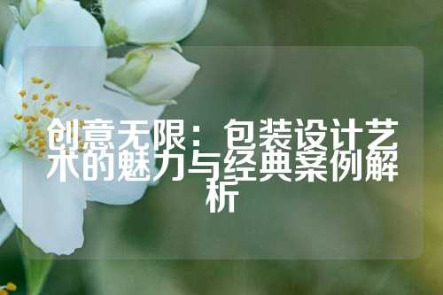 创意无限：包装设计艺术的魅力与经典案例解析