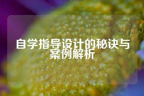 自学指导设计的秘诀与案例解析