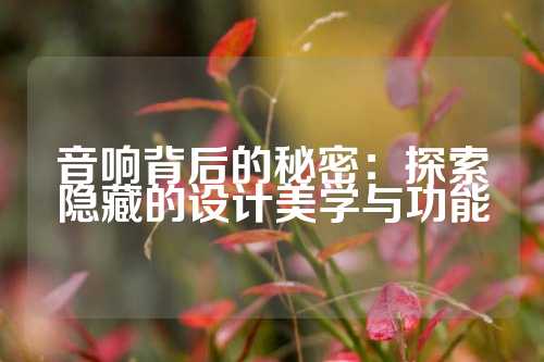 音响背后的秘密：探索隐藏的设计美学与功能