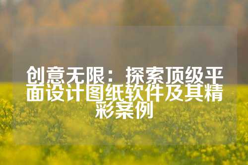 创意无限：探索顶级平面设计图纸软件及其精彩案例