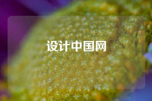 设计中国网