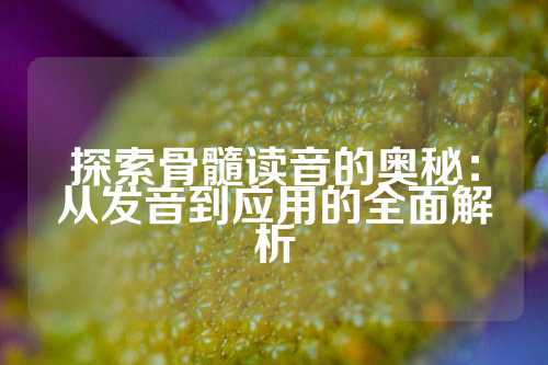探索骨髓读音的奥秘：从发音到应用的全面解析