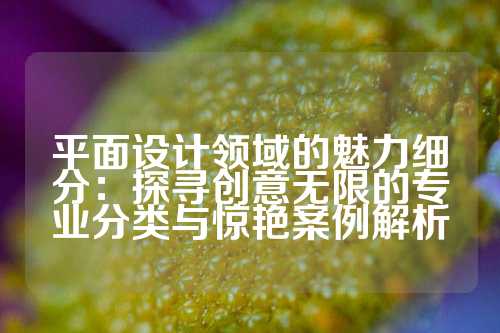 平面设计领域的魅力细分：探寻创意无限的专业分类与惊艳案例解析